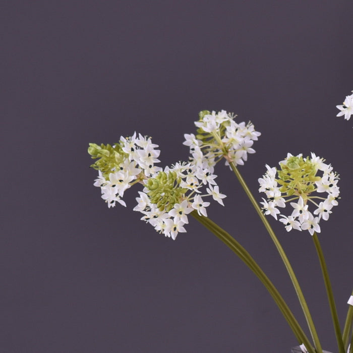 Bulk 6Pcs 33.8" Extra Long Star of Bethlehem Bouquet Ornithogalum White Floral Wholesale