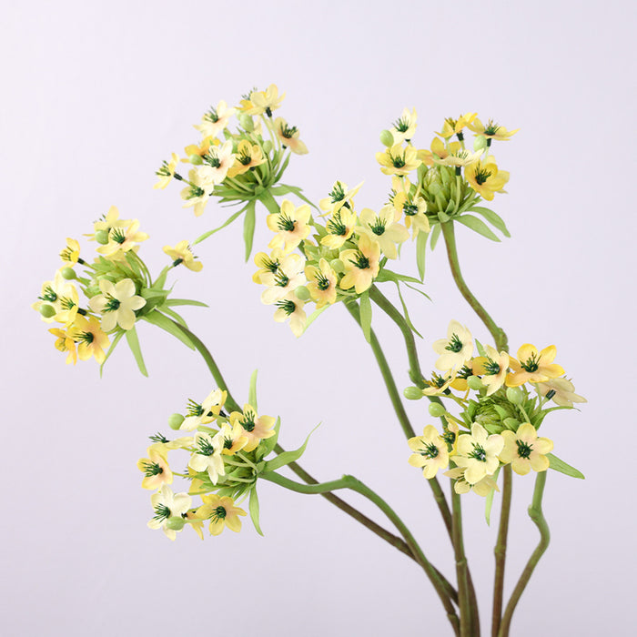 Bulk 25.5 inches Tall Star of Bethlehem Stem Silk Ornithogalum Flowers Artificial Wholesale