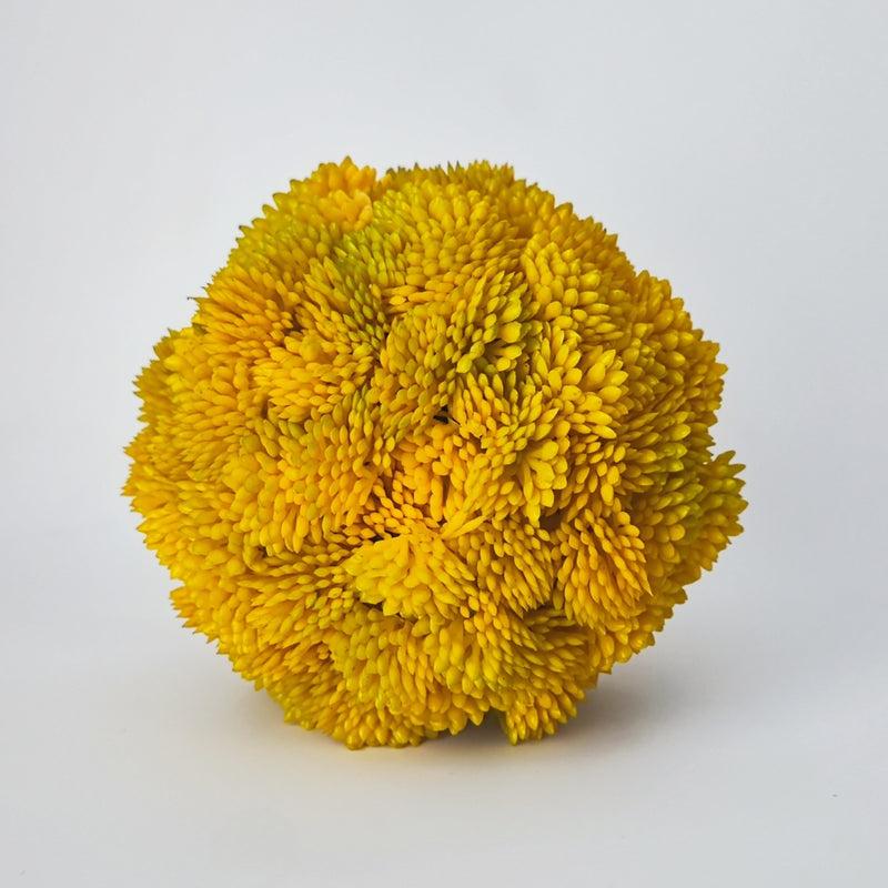 Bulk 4" Topiary Plant Balls Decorative Artificial Succulents Balls Wholesale