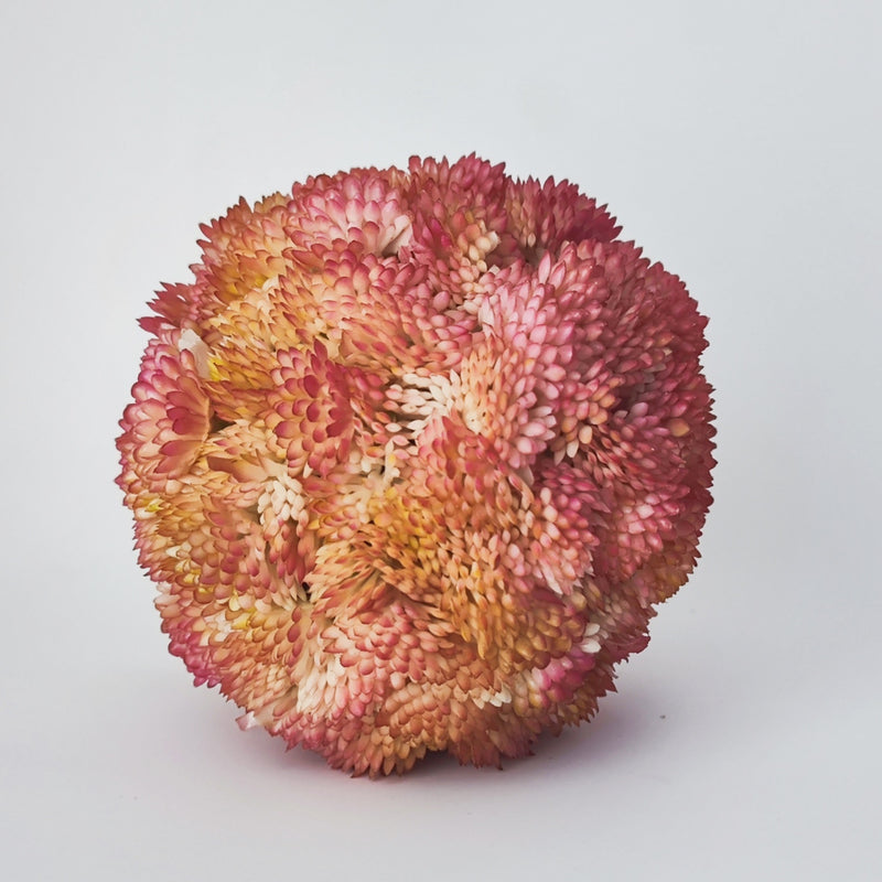plant red ball from succulent Bulk 4" Topiary Plant Balls Decorative Artificial Succulents Balls Who — Artificialmerch