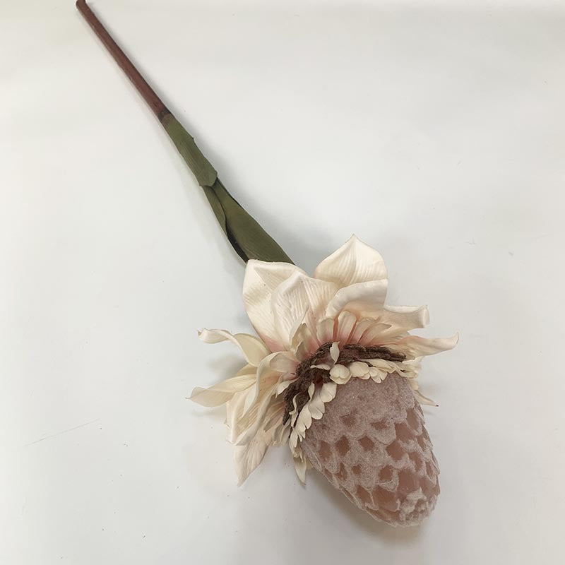 Bulk 35" Long Torch Ginger Stems Wholesale