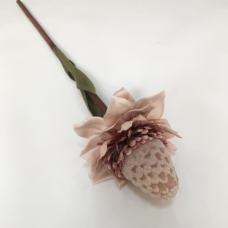 Bulk 35" Long Torch Ginger Stems Wholesale