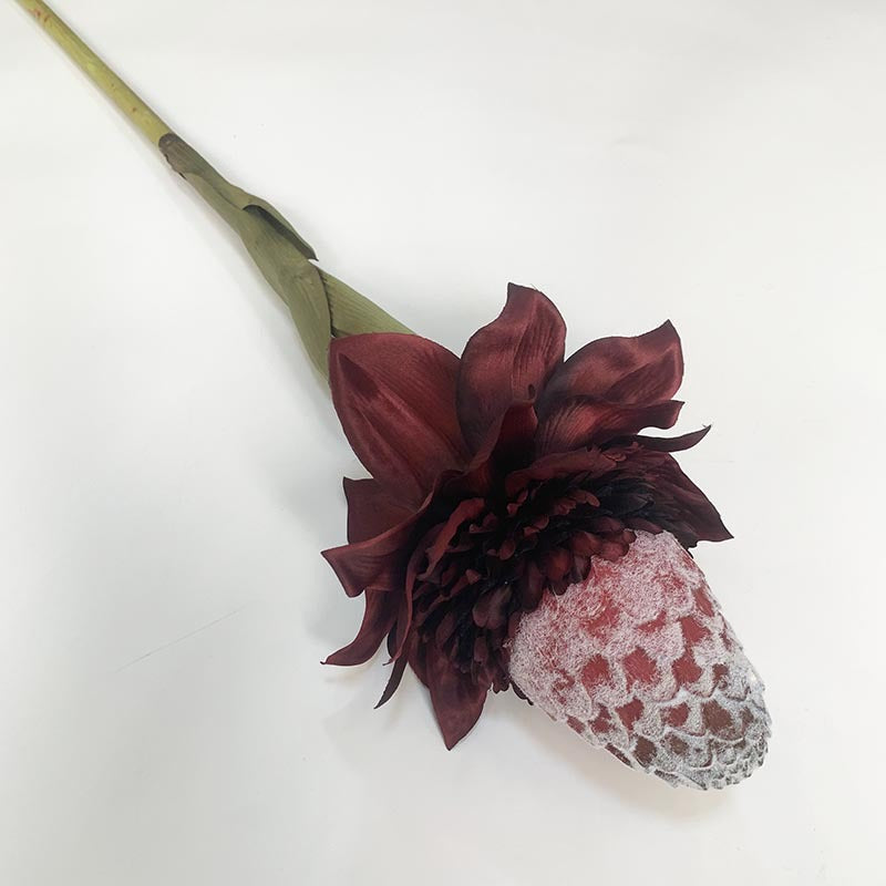 Bulk 35" Long Torch Ginger Stems Wholesale