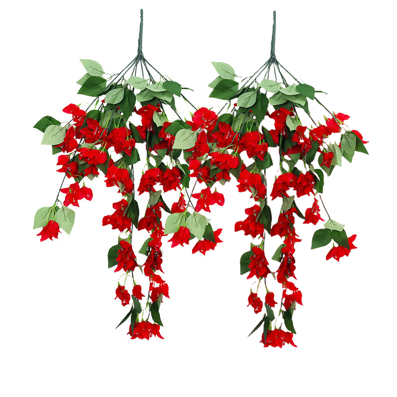 Bulk 2pcs Bougainvillea Bushy Trailing Vines UV Resistant Flowers for Outdoor Wholesale