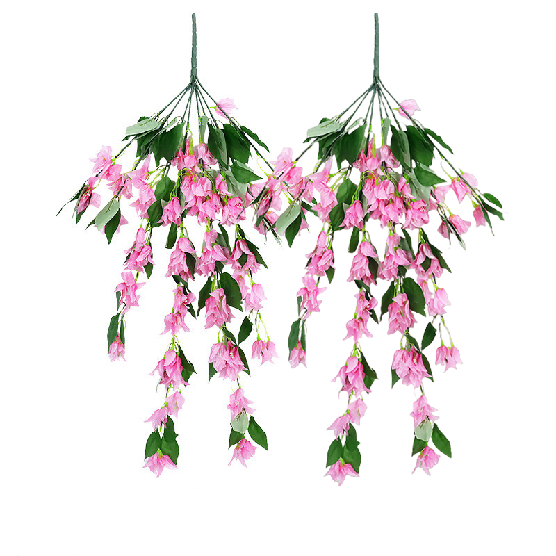 Bulk 2pcs Bougainvillea Bushy Trailing Vines UV Resistant Flowers for Outdoor Wholesale