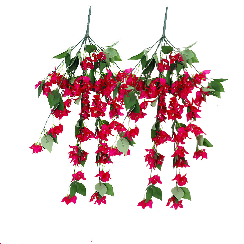 Bulk 2pcs Bougainvillea Bushy Trailing Vines UV Resistant Flowers for Outdoor Wholesale