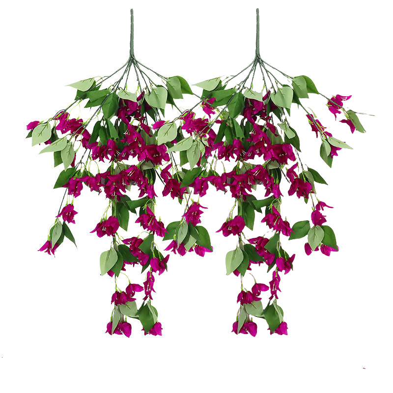Bulk 2pcs Bougainvillea Bushy Trailing Vines UV Resistant Flowers for Outdoor Wholesale