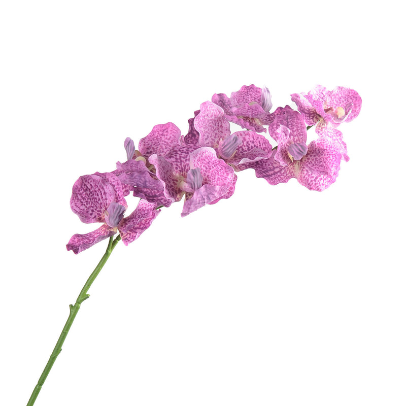 Tiges d'orchidées Vanda Miss Joaquim Real Touch de 30 pouces en gros 