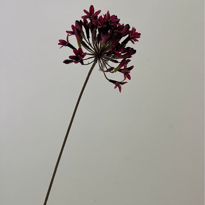 Bulk 24" Vintage-Style Agapanthus Stems Artificial Silk Flowers Wholesale