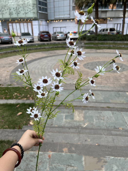 Bulk 10pcs 34" September Birth Flower Aster Spray Branches Bouquet Long Stems Artificial Silk Flowers Wholesale