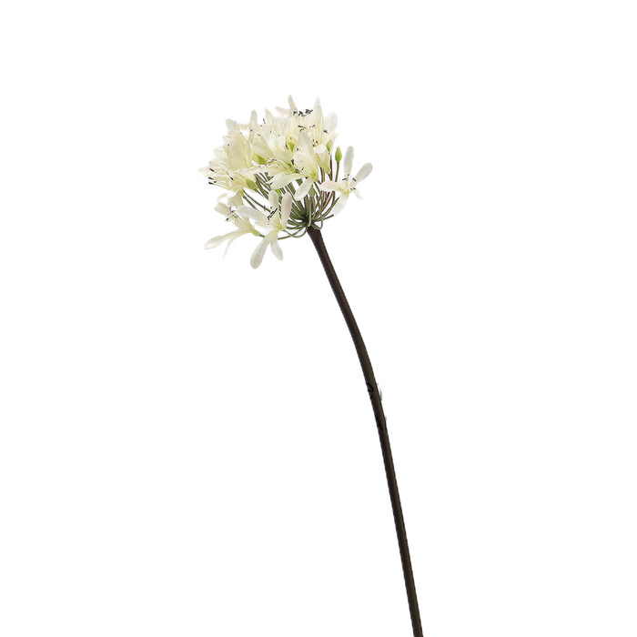 A granel 25 "Agapanthus tallos lirio del Nilo plantas vivas flores seda Artificial al por mayor 