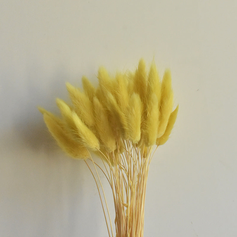 Lot de 50 queues de lapin naturelles séchées pour compositions florales, centres de table de mariage, décorations d'automne pour la maison, style bohème, baby shower, vente en gros