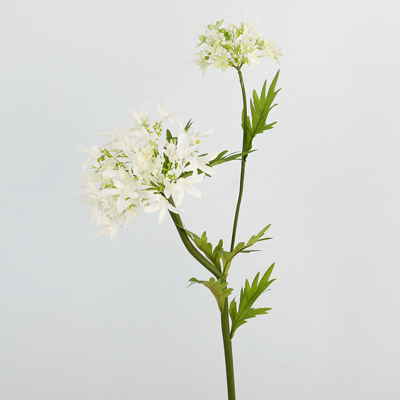 Bulk 29" Agapanthus Stems Real Touch African Agapanthus Flower Arrangement Wholesale