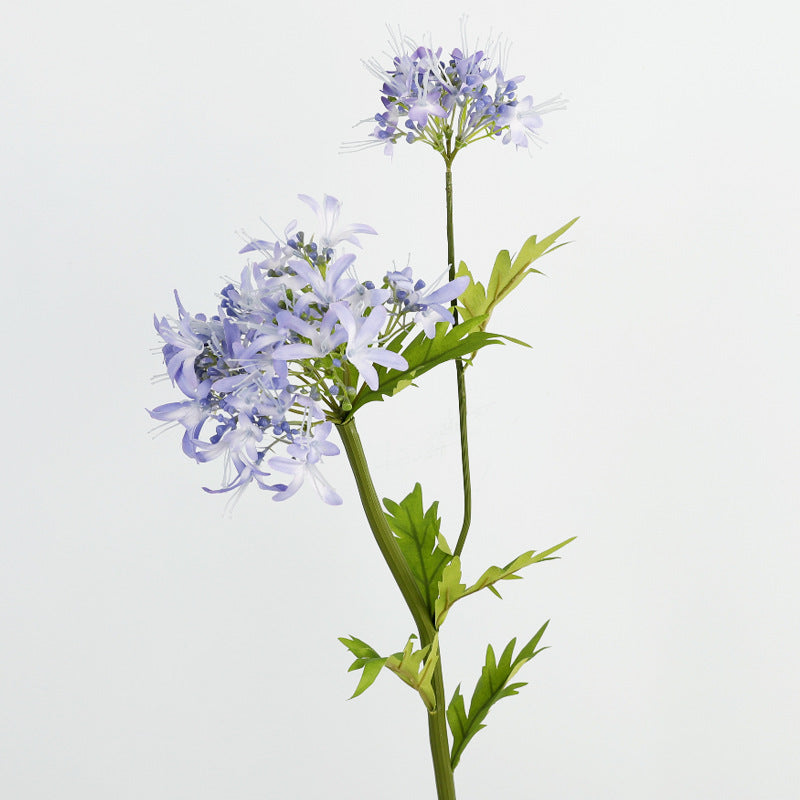 Bulk 29" Agapanthus Stems Real Touch African Agapanthus Flower Arrangement Wholesale