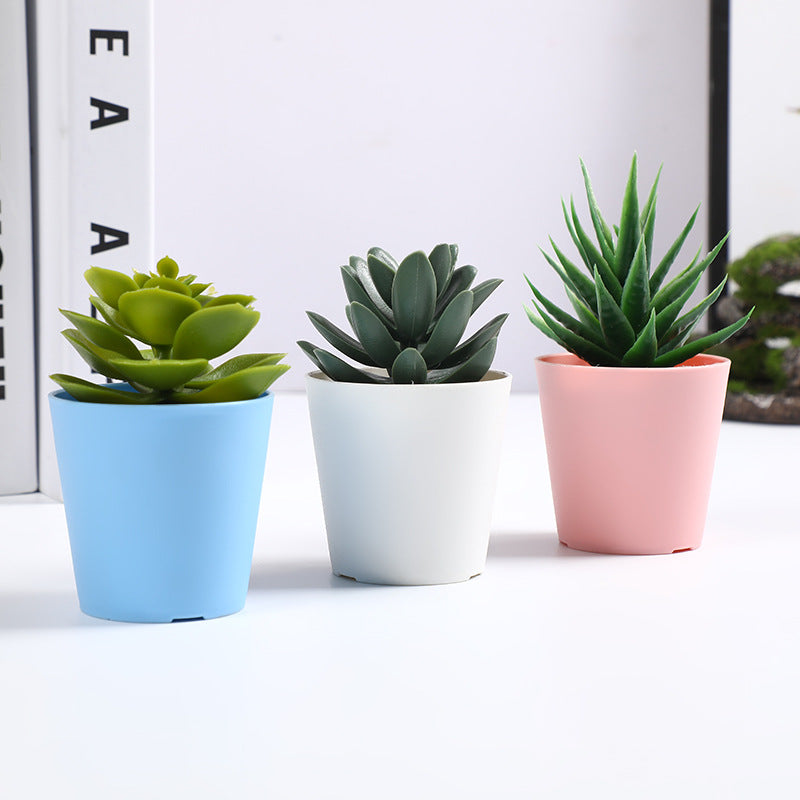 Lot de 3 mini plantes succulentes artificielles en pot dans un vase décoratif pour le bureau et la maison
