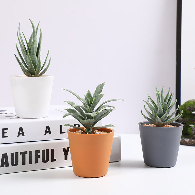 Lot de 3 mini plantes succulentes artificielles en pot dans un vase décoratif pour le bureau et la maison