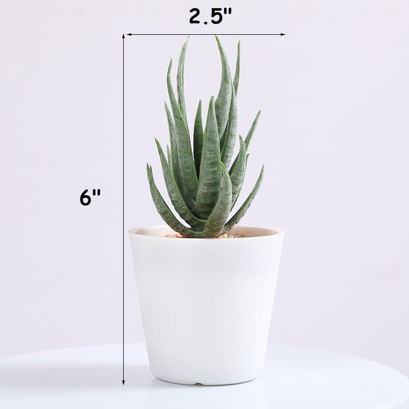 Lot de 3 mini plantes succulentes artificielles en pot dans un vase décoratif pour le bureau et la maison