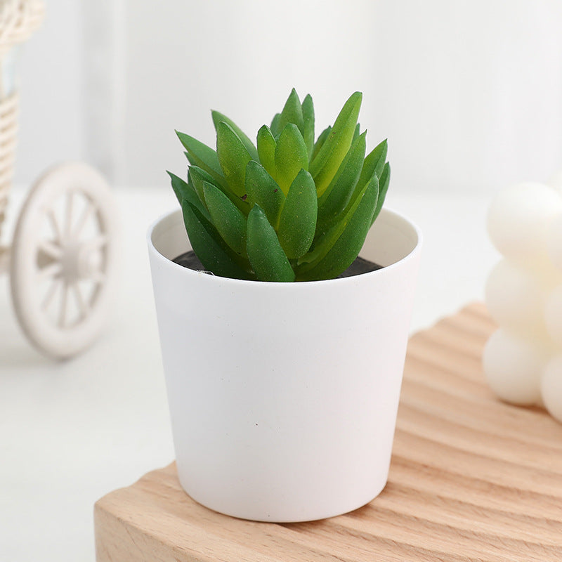 Bulk 20 Styles 5" Artificial Succulent Potted Plants for Bathroom Home Table Decor Wholesale