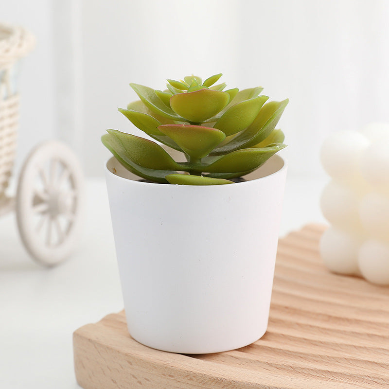 Bulk 20 Styles 5" Artificial Succulent Potted Plants for Bathroom Home Table Decor Wholesale