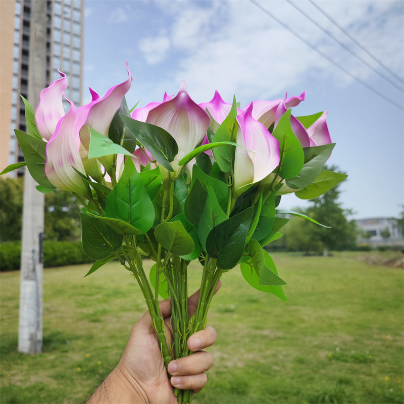 Plantes de lys calla exclusives en vrac de 16 pouces Fleurs résistantes aux UV pour l'extérieur Vente en gros 