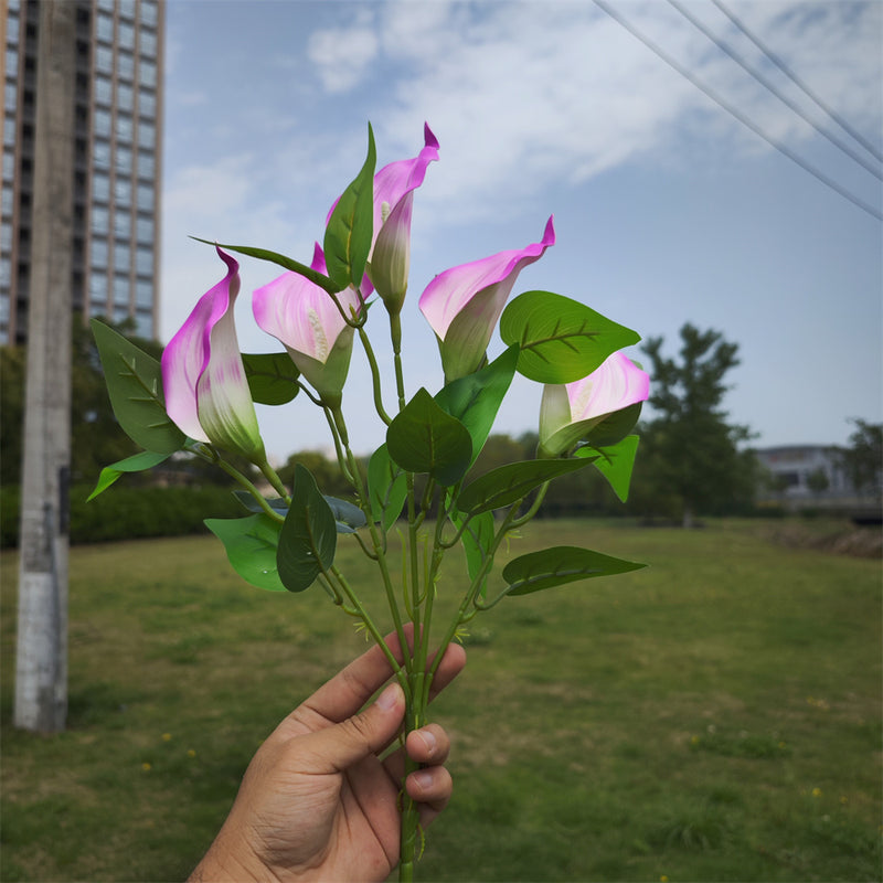 Plantes de lys calla exclusives en vrac de 16 pouces Fleurs résistantes aux UV pour l'extérieur Vente en gros 