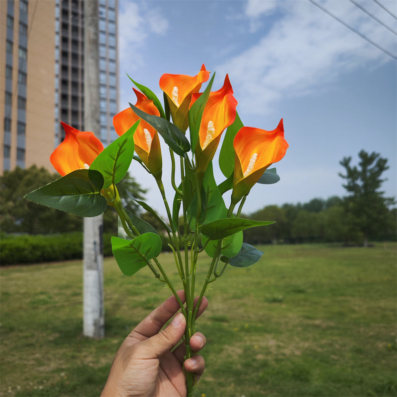 Plantes de lys calla exclusives en vrac de 16 pouces Fleurs résistantes aux UV pour l'extérieur Vente en gros 
