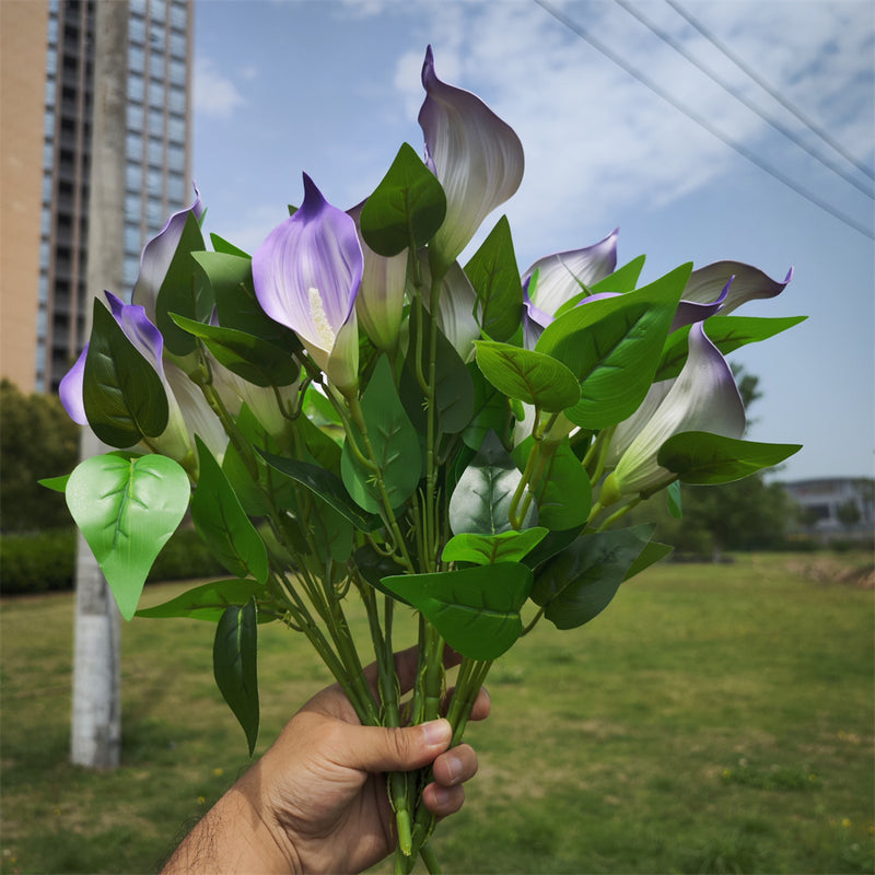 Plantes de lys calla exclusives en vrac de 16 pouces Fleurs résistantes aux UV pour l'extérieur Vente en gros 