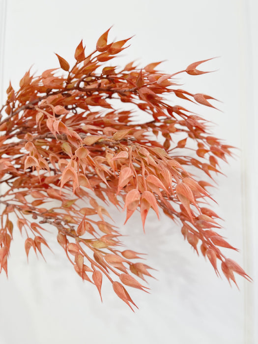 Bulk 36" Artificial Oat Stems – Harvest Festival Decor for Autumn Entryway, Dining Table, Fireplace Wholesale