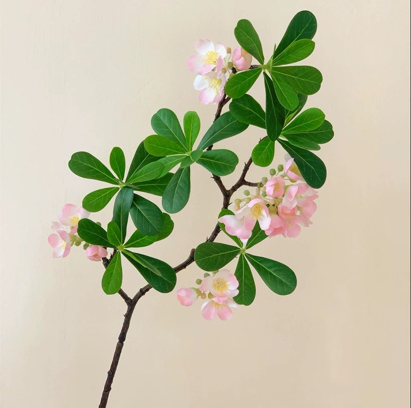 Artificial Pittosporum Stems - Lifelike Fake Flowers for Home/Wedding
