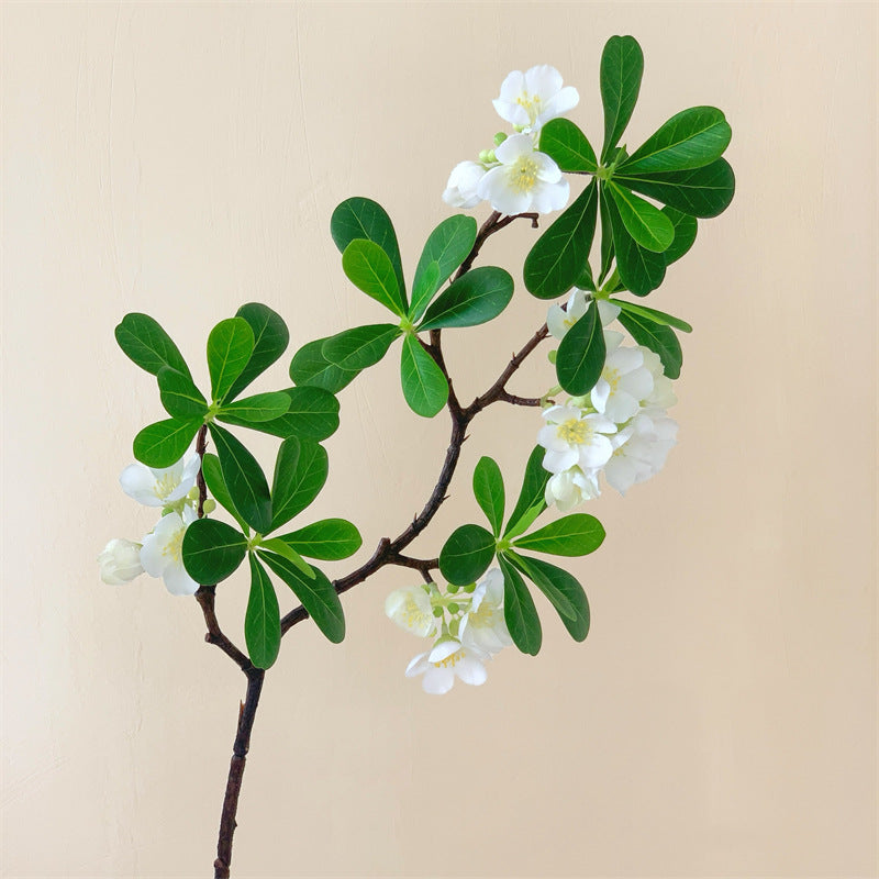 Artificial Pittosporum Stems - Lifelike Fake Flowers for Home/Wedding