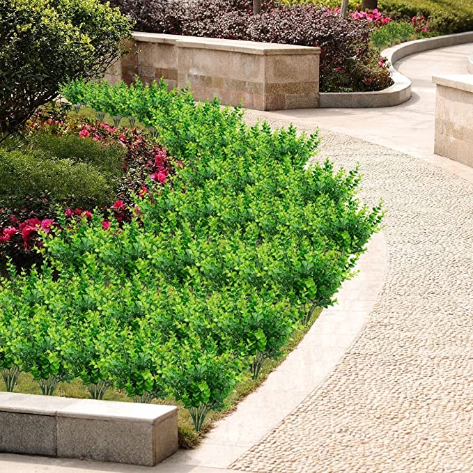 Wholesale Clearance! Bulk UV - Resistant Boxwood Bush Plants for Outdoor Use