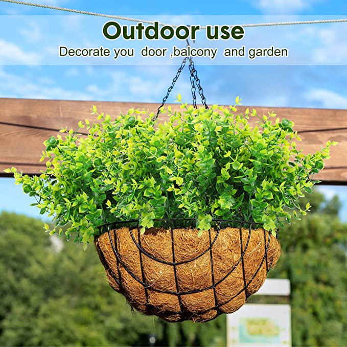 Wholesale Clearance! Bulk UV - Resistant Boxwood Bush Plants for Outdoor Use