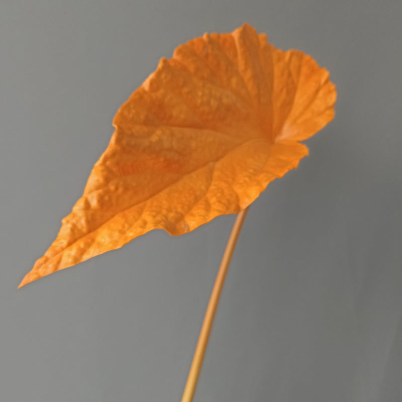 Bulk Autumn Tropical Leaves Stems Fall Decorations Wholesale