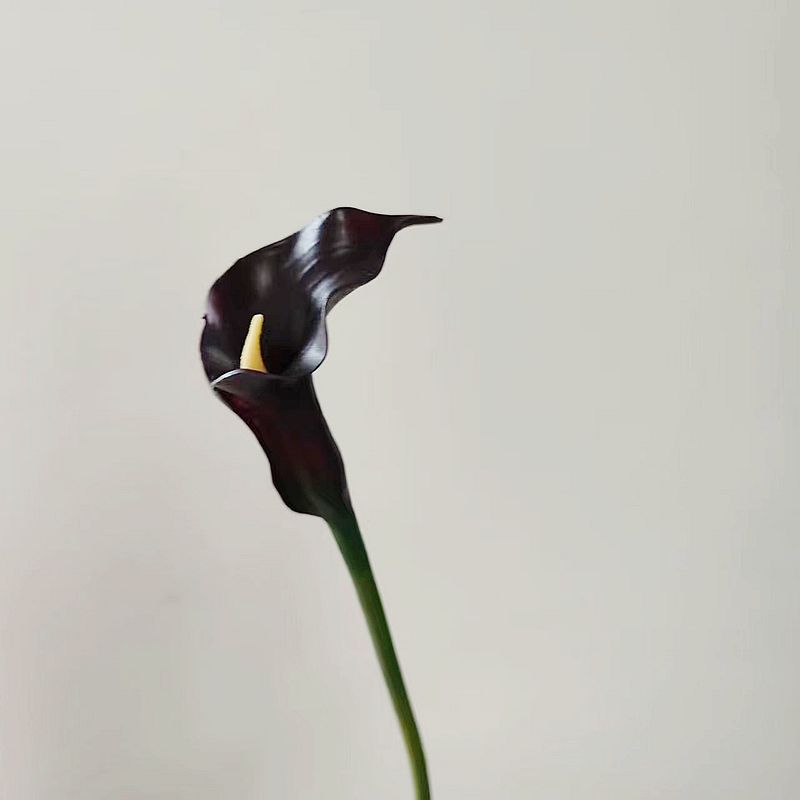 Lys calla exclusifs en vrac 25,5" Longues tiges Real Touch Floral Artificiel En Gros 