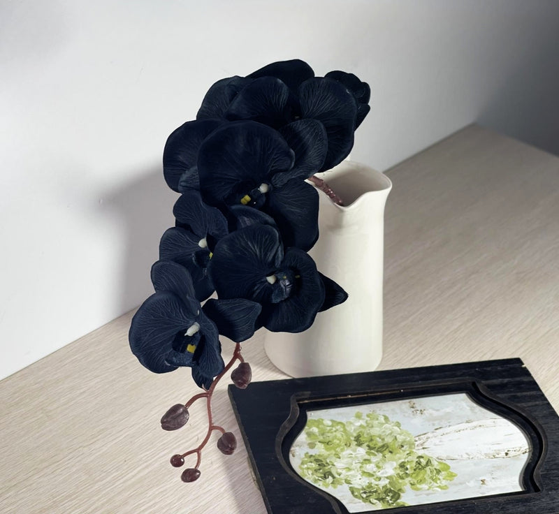 Bulk Exclusive Halloween Black Flowers Phalaenopsis Orchid Stems Flower Arrangements Wholesale