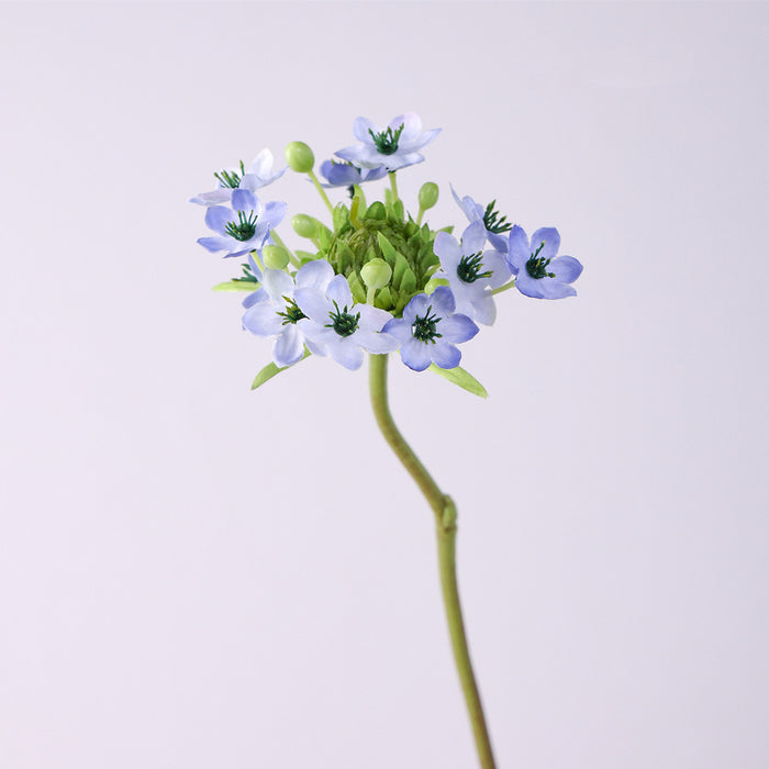 Bulk 25.5 inches Tall Star of Bethlehem Stem Silk Ornithogalum Flowers Artificial Wholesale