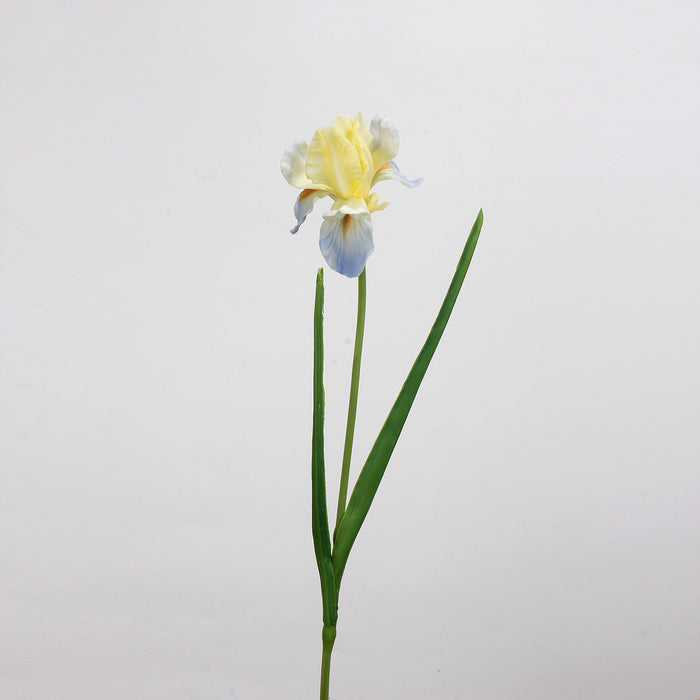 Bulk Exclusive 21.5 inches Tall Iris Stems Real Touch Iris Flowers Wholesale