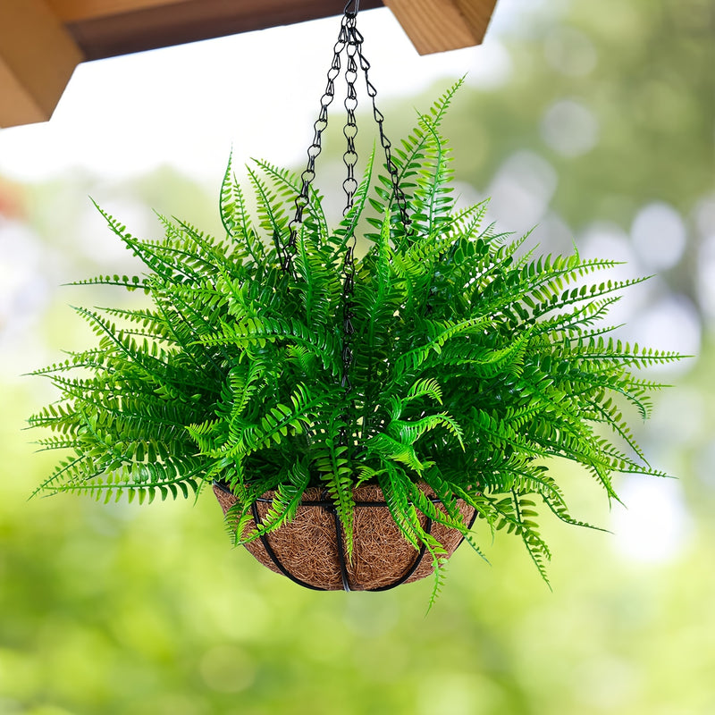 Bulk Boston Fern Hanging Topiary Baskets - Ideal for Outdoor Spaces Wholesale