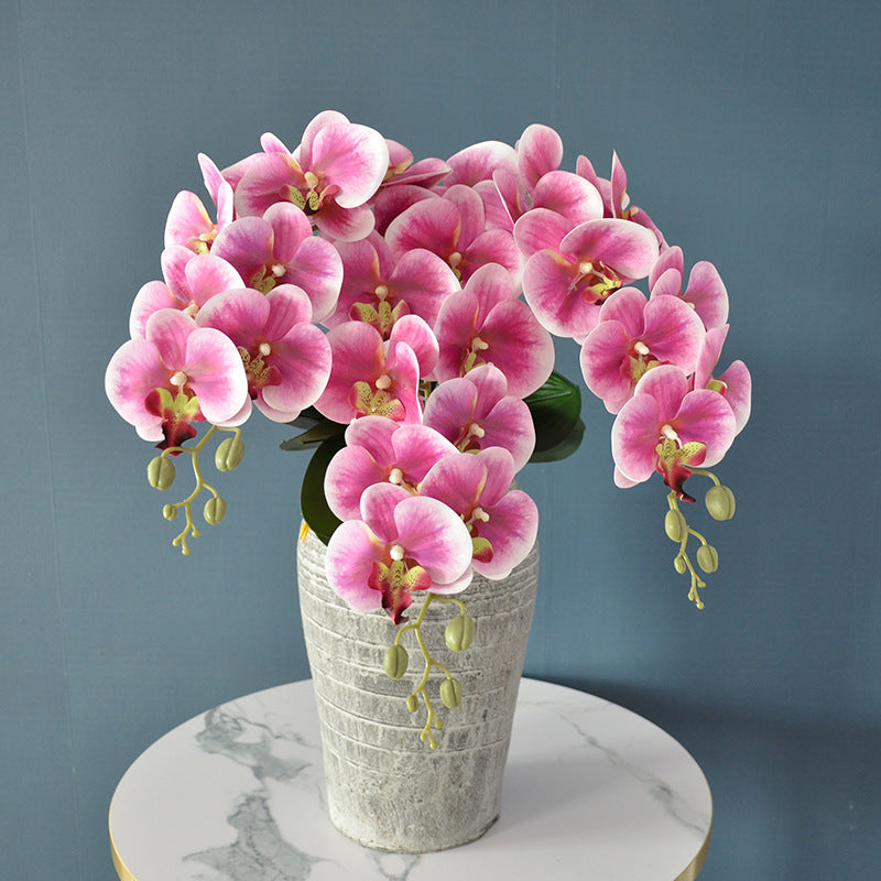 Bulk 3pcs 37" Extra Long Phalaenopsis Orchid Stems Real Touch Lucky Flowers Wholesale