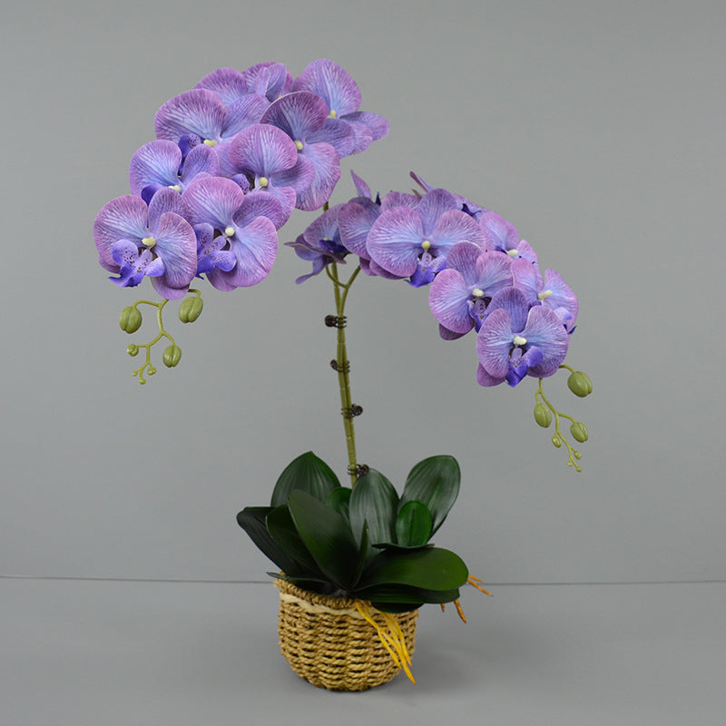 Bulk 3pcs 37" Extra Long Phalaenopsis Orchid Stems Real Touch Lucky Flowers Wholesale