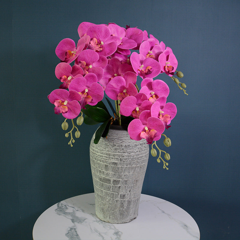 Bulk 3pcs 37" Extra Long Phalaenopsis Orchid Stems Real Touch Lucky Flowers Wholesale