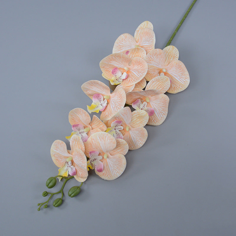 Bulk 3pcs 37" Extra Long Phalaenopsis Orchid Stems Real Touch Lucky Flowers Wholesale