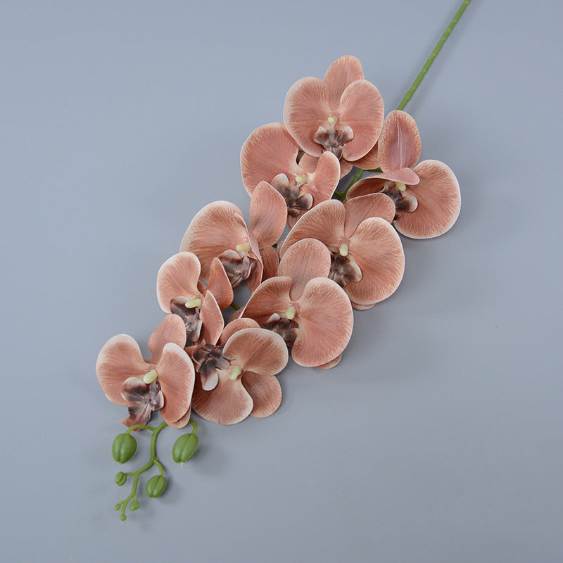 Bulk 3pcs 37" Extra Long Phalaenopsis Orchid Stems Real Touch Lucky Flowers Wholesale