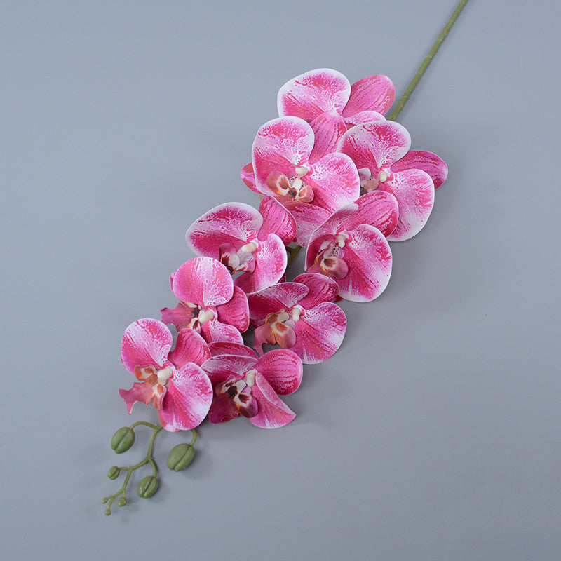 Bulk 3pcs 37" Extra Long Phalaenopsis Orchid Stems Real Touch Lucky Flowers Wholesale