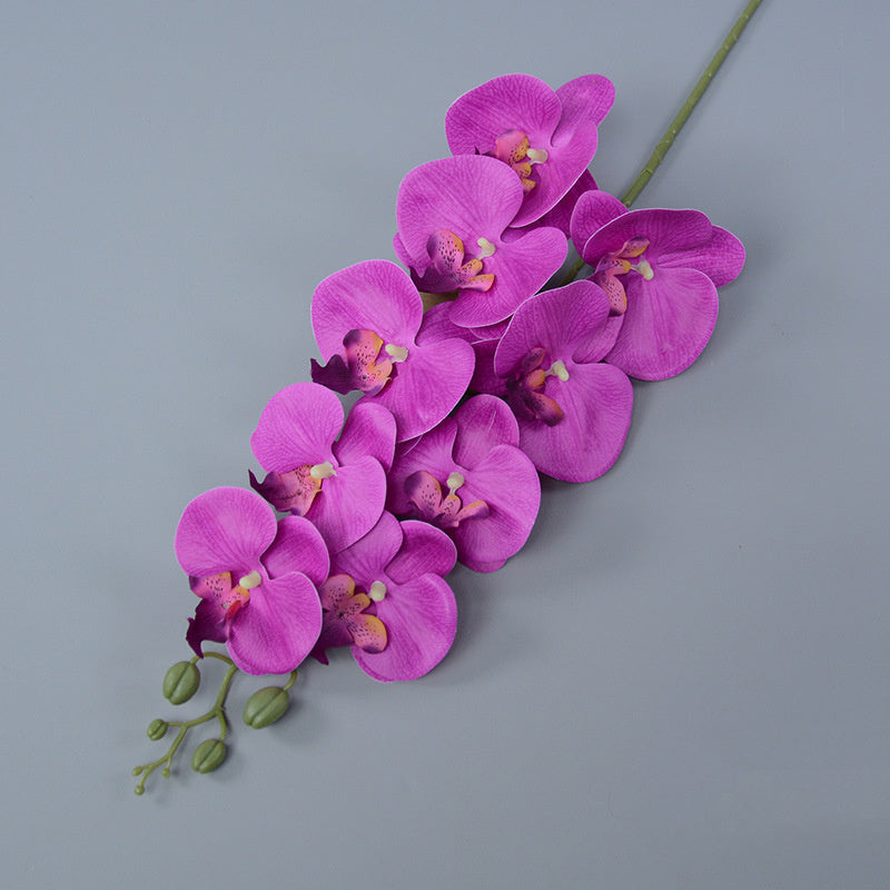 Bulk 3pcs 37" Extra Long Phalaenopsis Orchid Stems Real Touch Lucky Flowers Wholesale