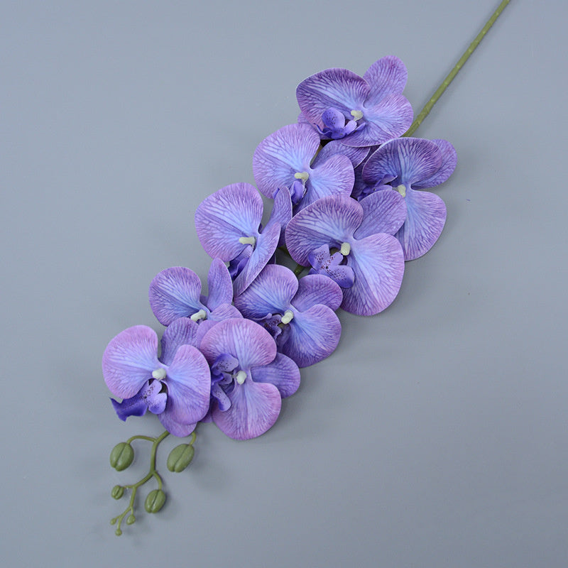 Bulk 3pcs 37" Extra Long Phalaenopsis Orchid Stems Real Touch Lucky Flowers Wholesale