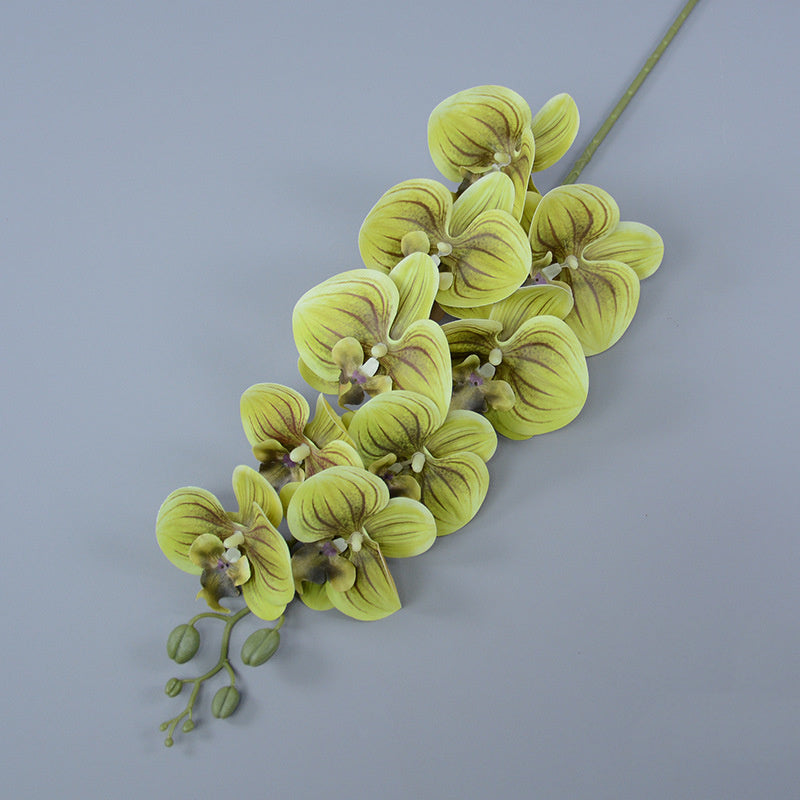 Bulk 3pcs 37" Extra Long Phalaenopsis Orchid Stems Real Touch Lucky Flowers Wholesale