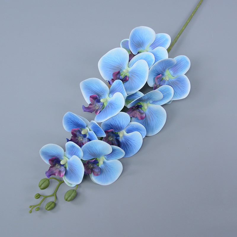 Bulk 3pcs 37" Extra Long Phalaenopsis Orchid Stems Real Touch Lucky Flowers Wholesale
