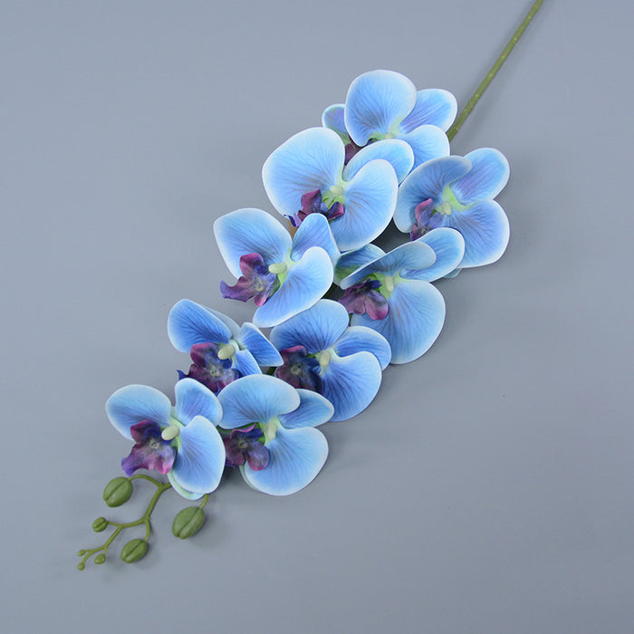 Bulk Exclusive 16 Colors Extra Long Phalaenopsis Orchid Stems Real Touch Floral Wholesale