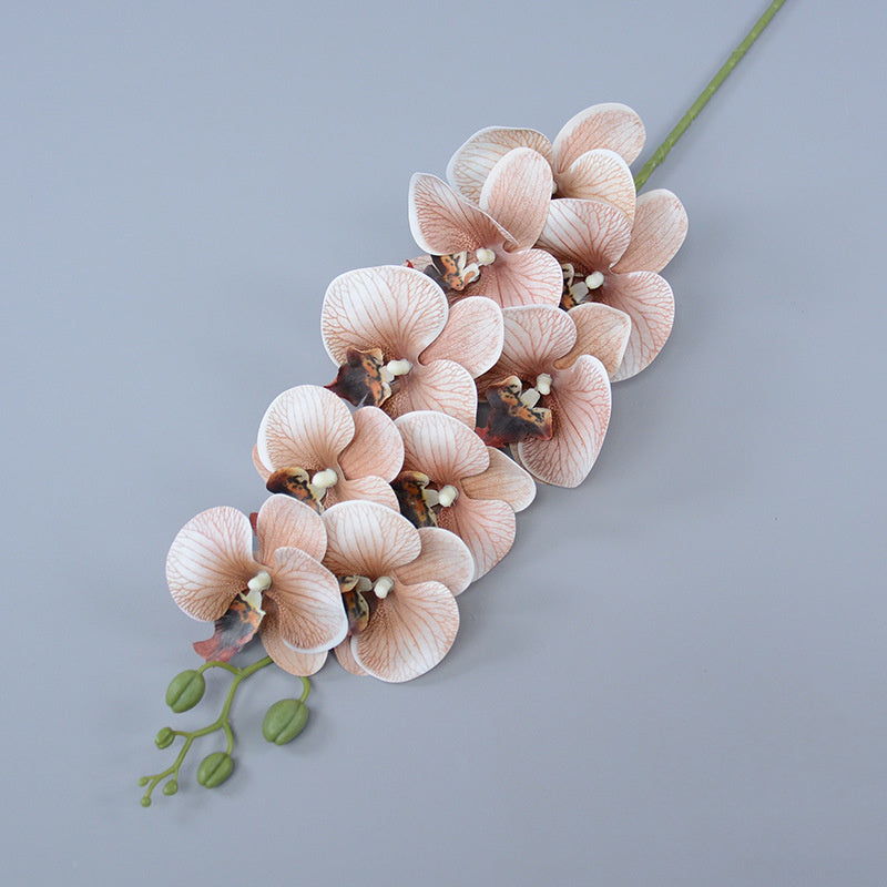 Bulk 3pcs 37" Extra Long Phalaenopsis Orchid Stems Real Touch Lucky Flowers Wholesale